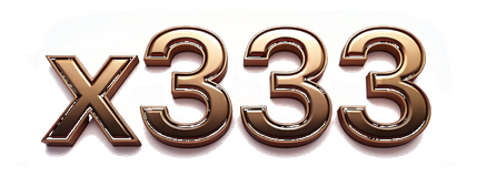x333 logo